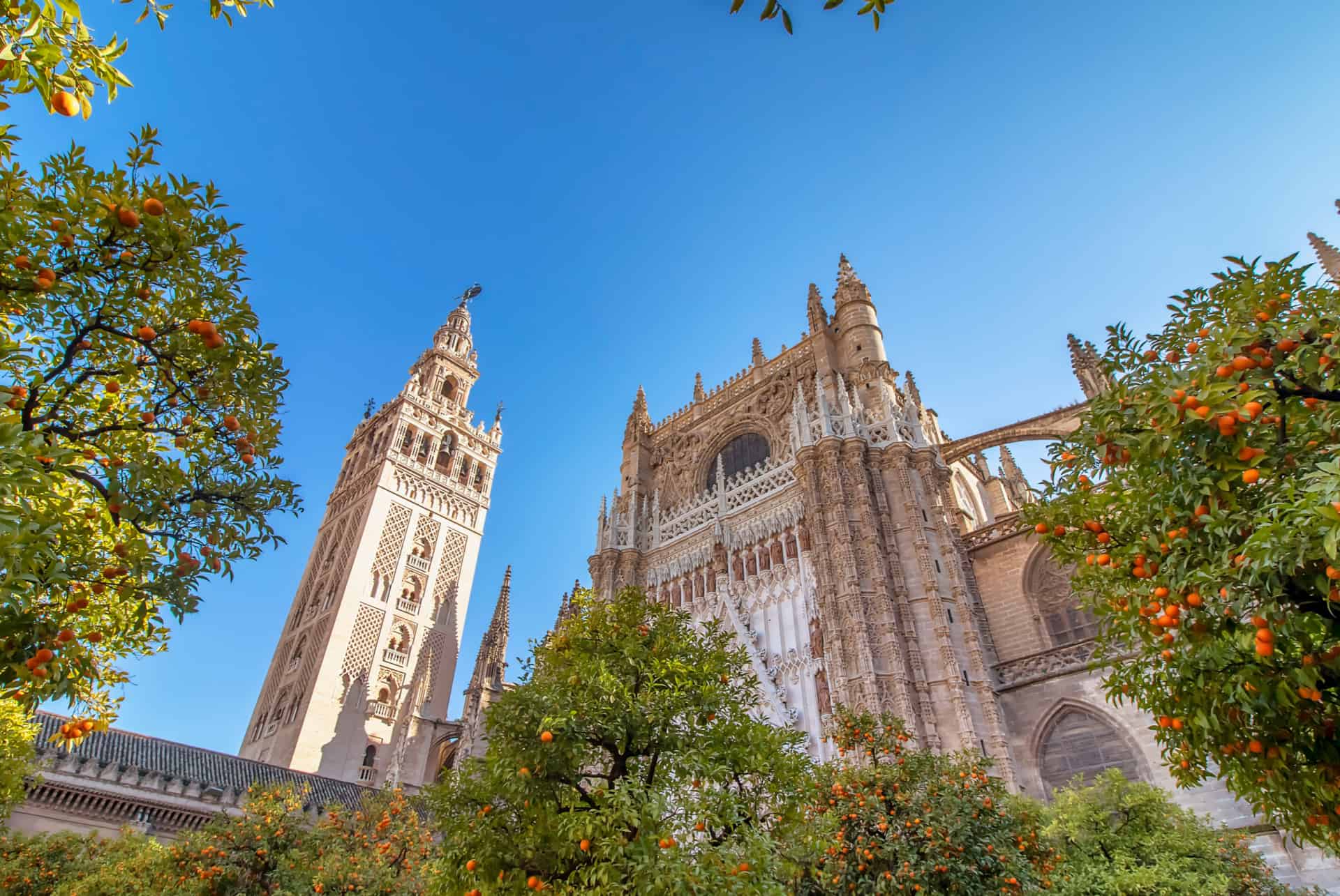 cathedrale seville cathedrale seville