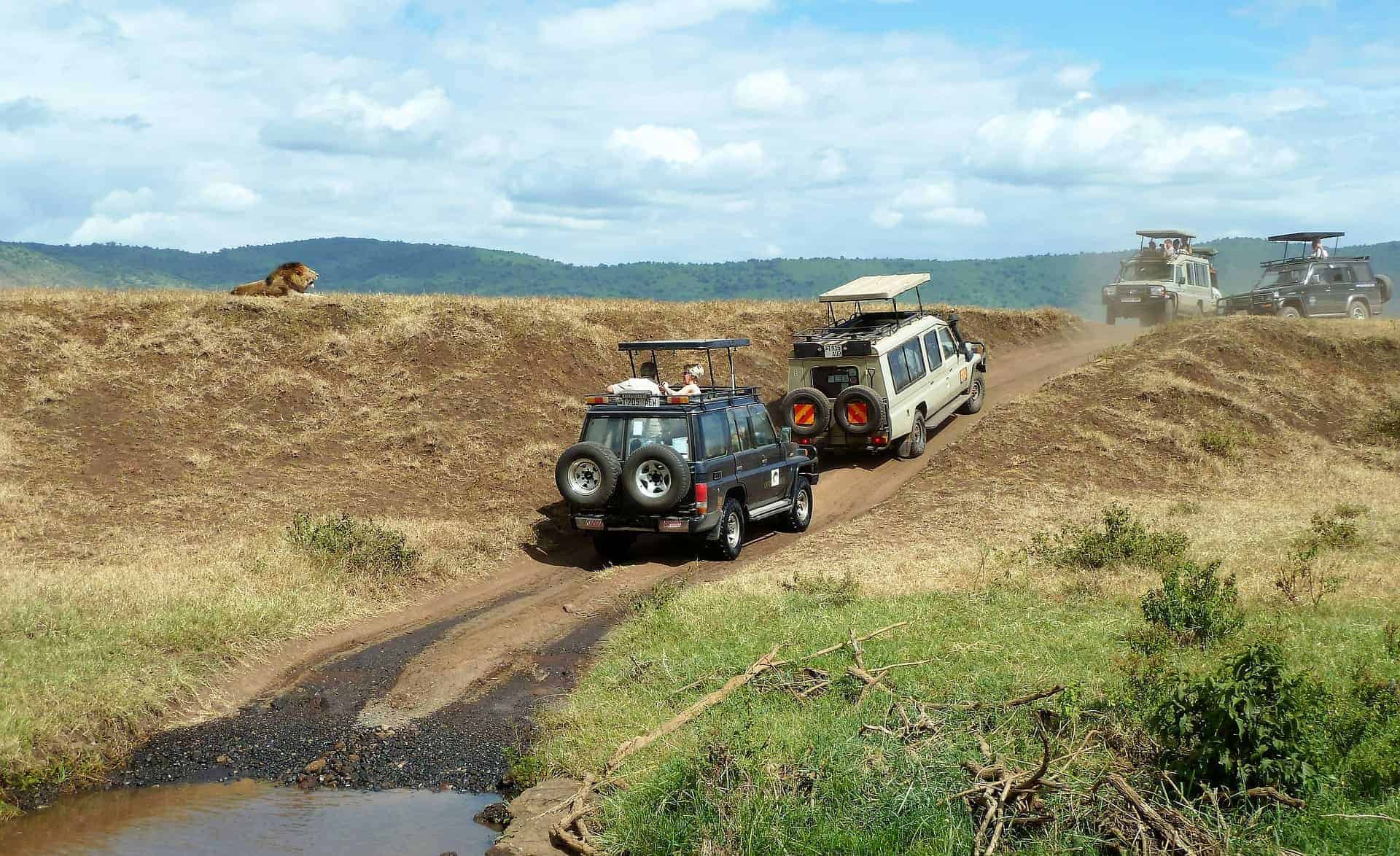 que faire en tanzanie