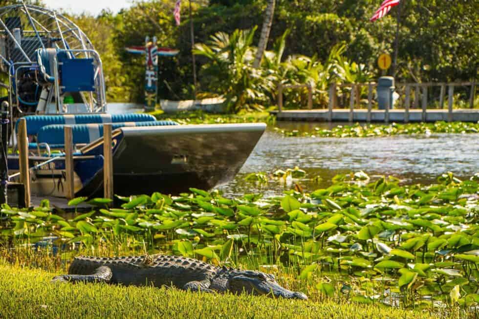 Comment Visiter Les Everglades ? Toutes Les Infos, Tarifs Et Bons Plans