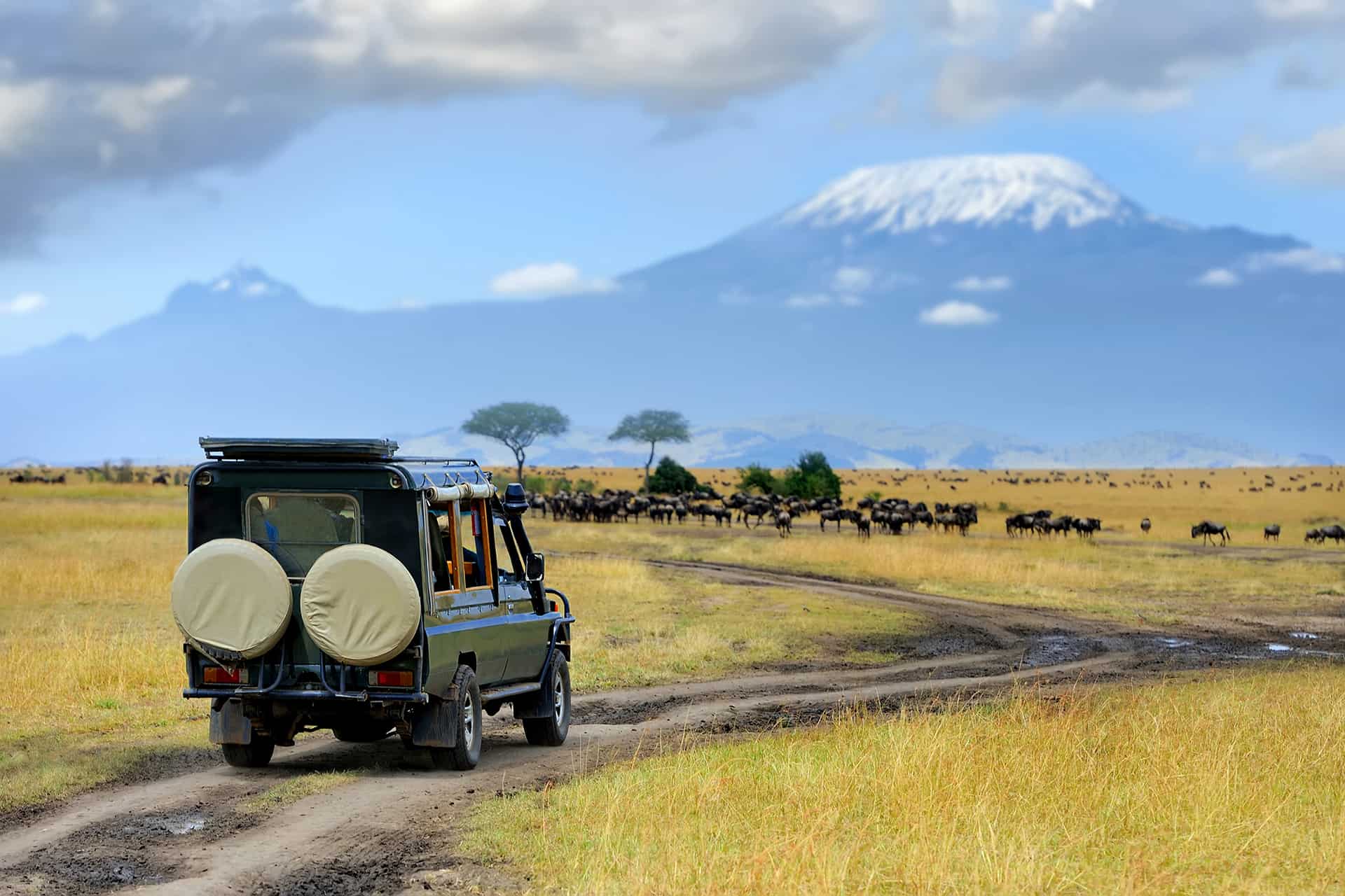 voyage en kenya