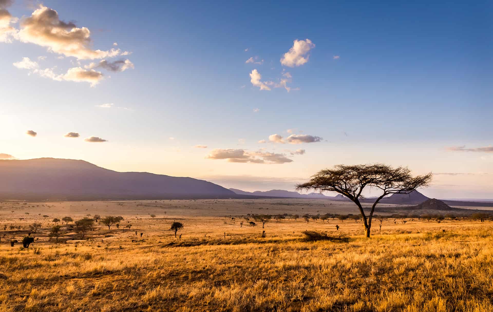 Quand Partir Au Kenya ? La Meilleure Période Pour Visiter Le Kenya