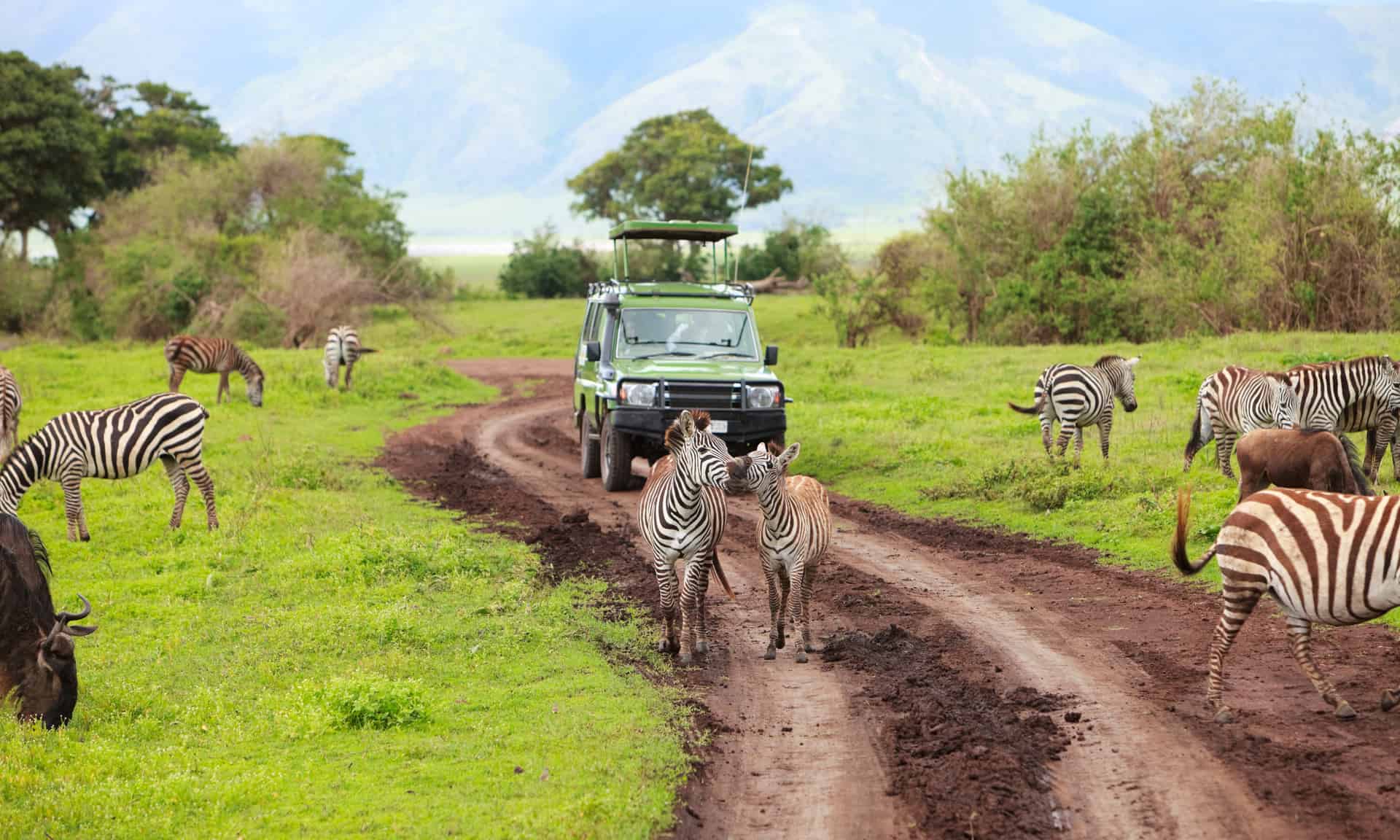 zanzibar safari voyage