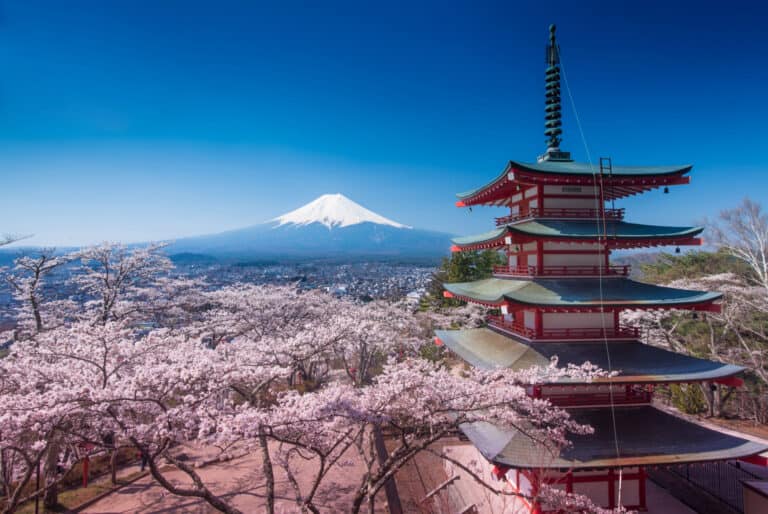 Excursion d'une journée au Mont Fuji depuis Tokyo