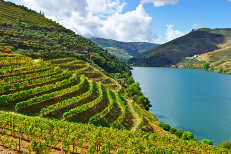 Excursion à la Vallée du Douro avec tour en bateau, dégustation de vin et déjeuner