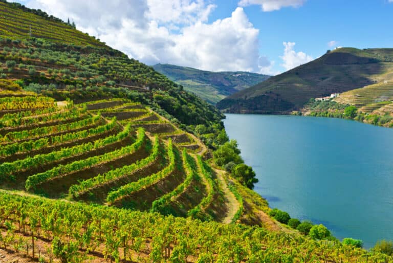 Journée dans la vallée du Douro