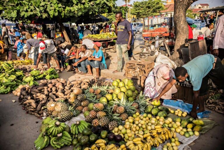 Visite guidée de Stone Town et des marchés avec dégustations