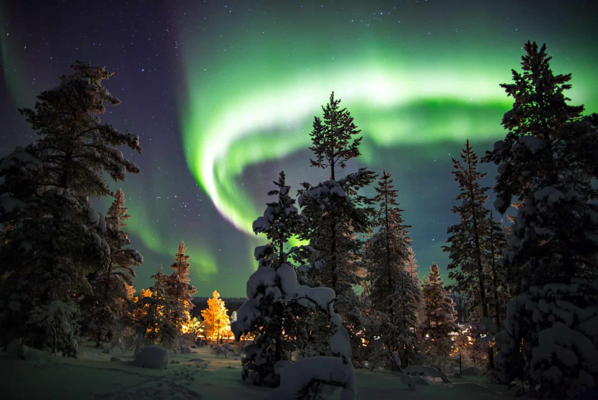 aurore boreale finlande foret