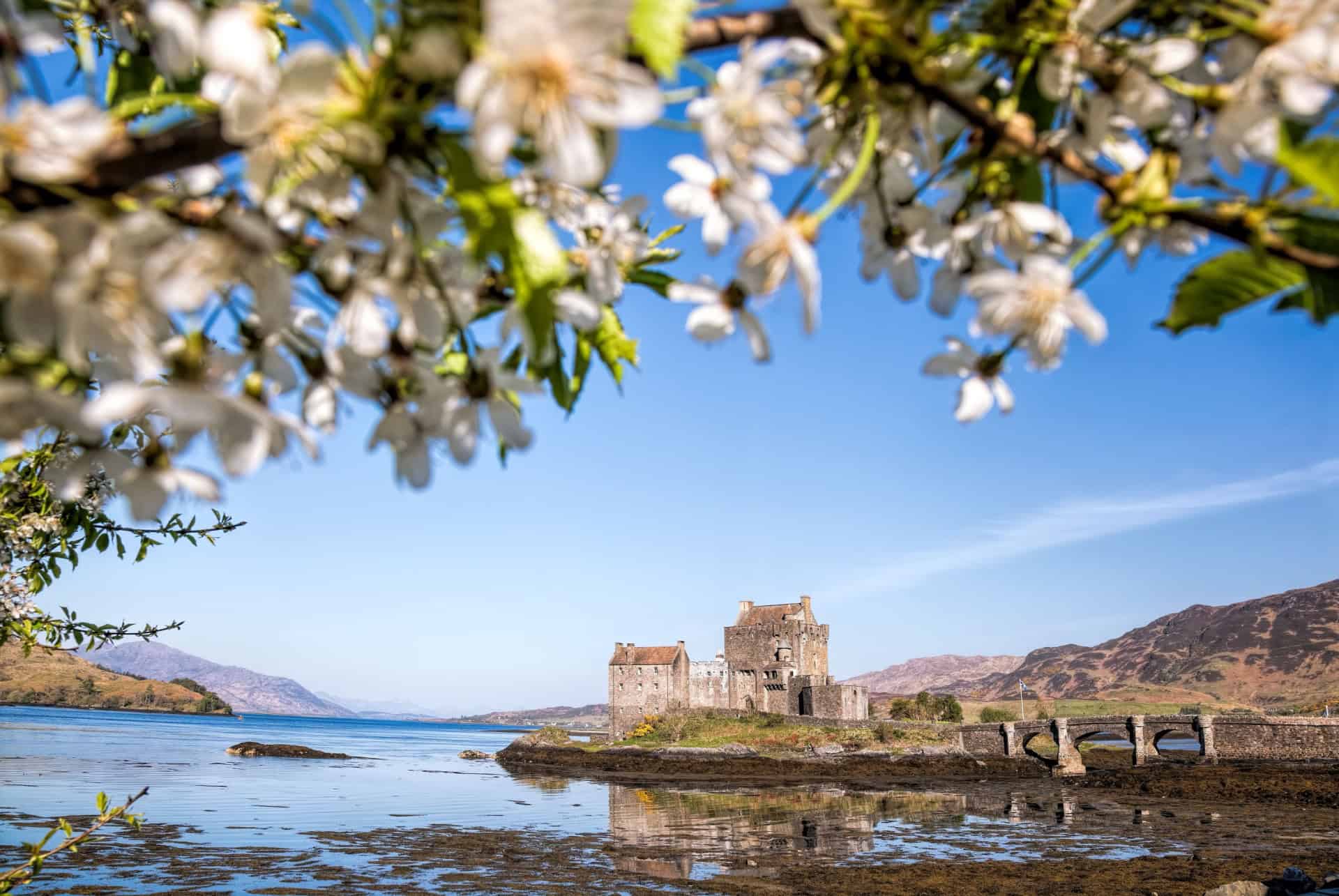 ecosse au printemps