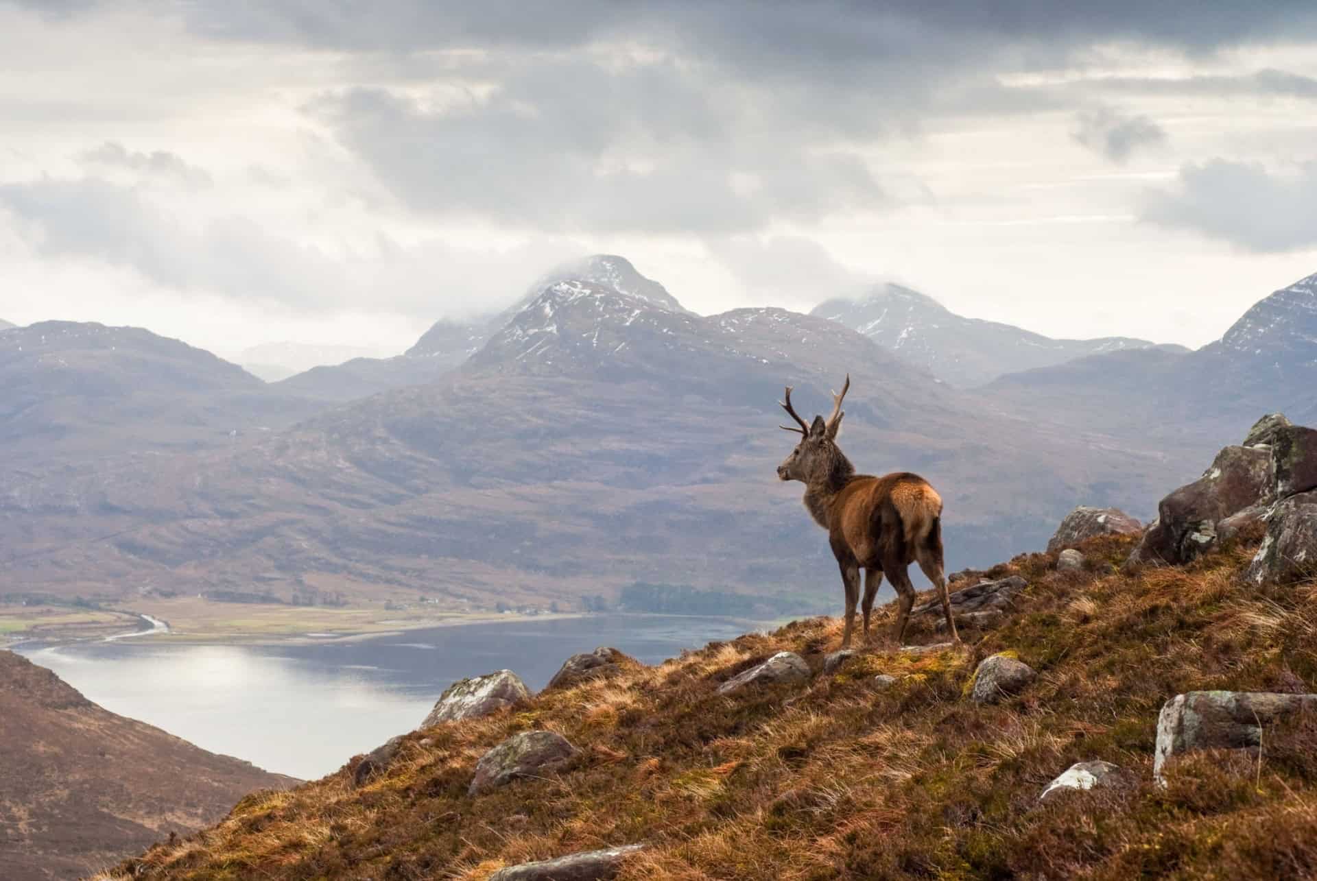 ecosse en hiver