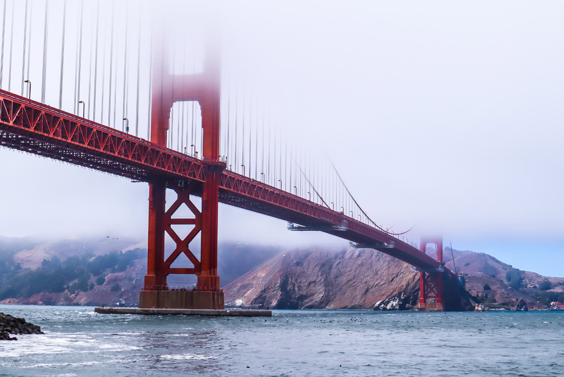 golden gate fog hiver