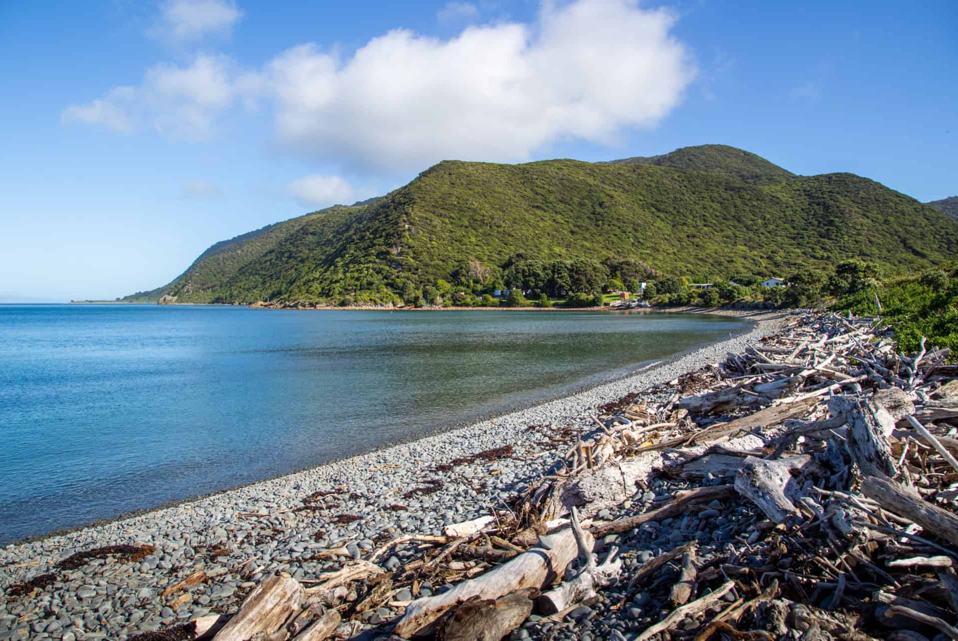 kapiti island