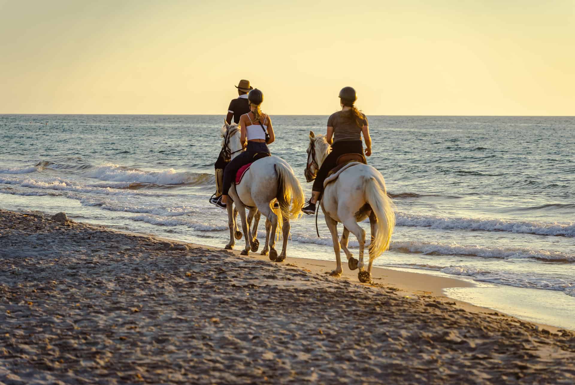 que faire a kos cheval