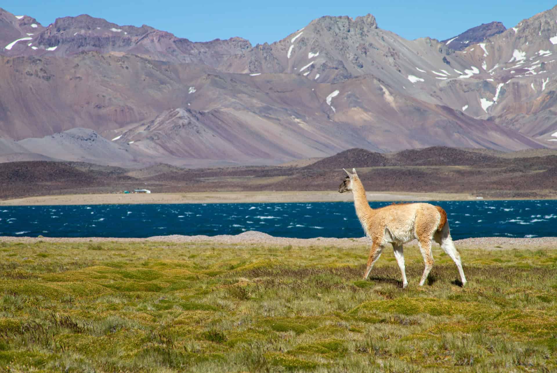 laguna del diamante