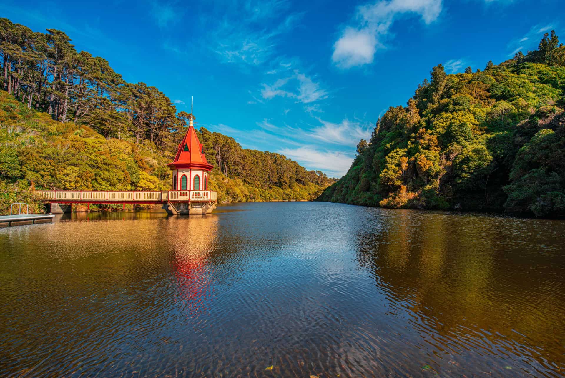 reserve zealandia que faire wellington