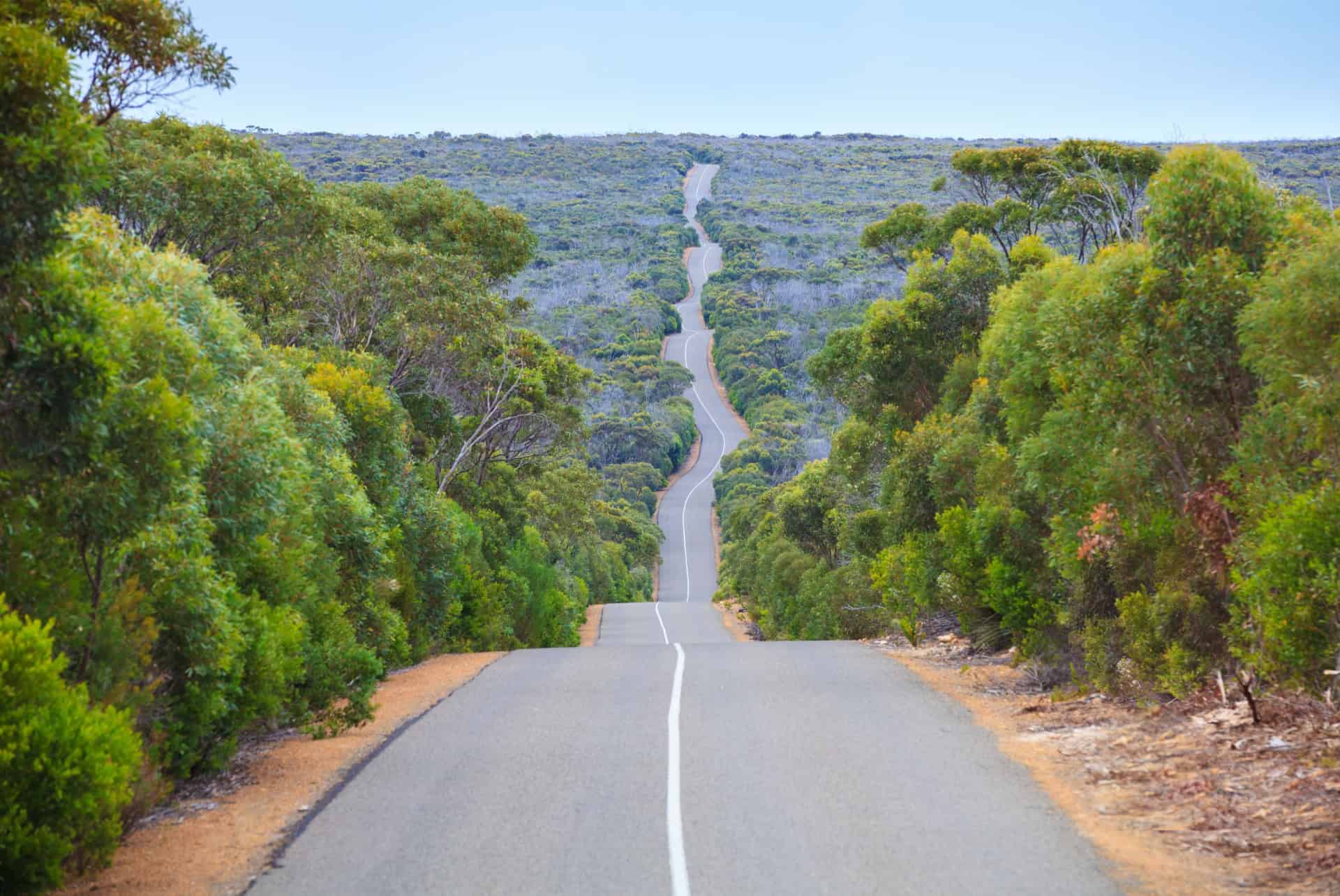 route ile kangourou