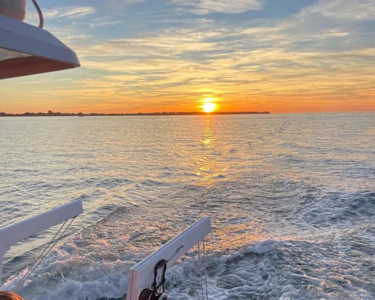 Balade en catamaran à l’Île de Ré au coucher du soleil