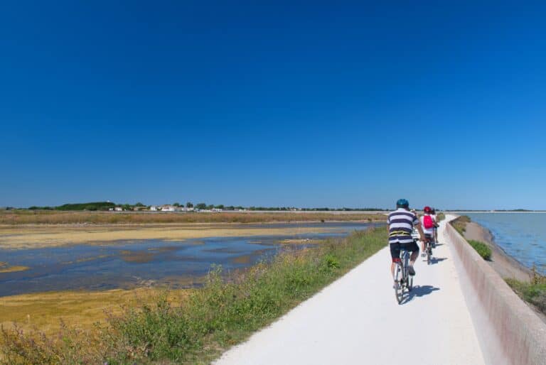 Balade en vélo guidée sur l'île de Ré