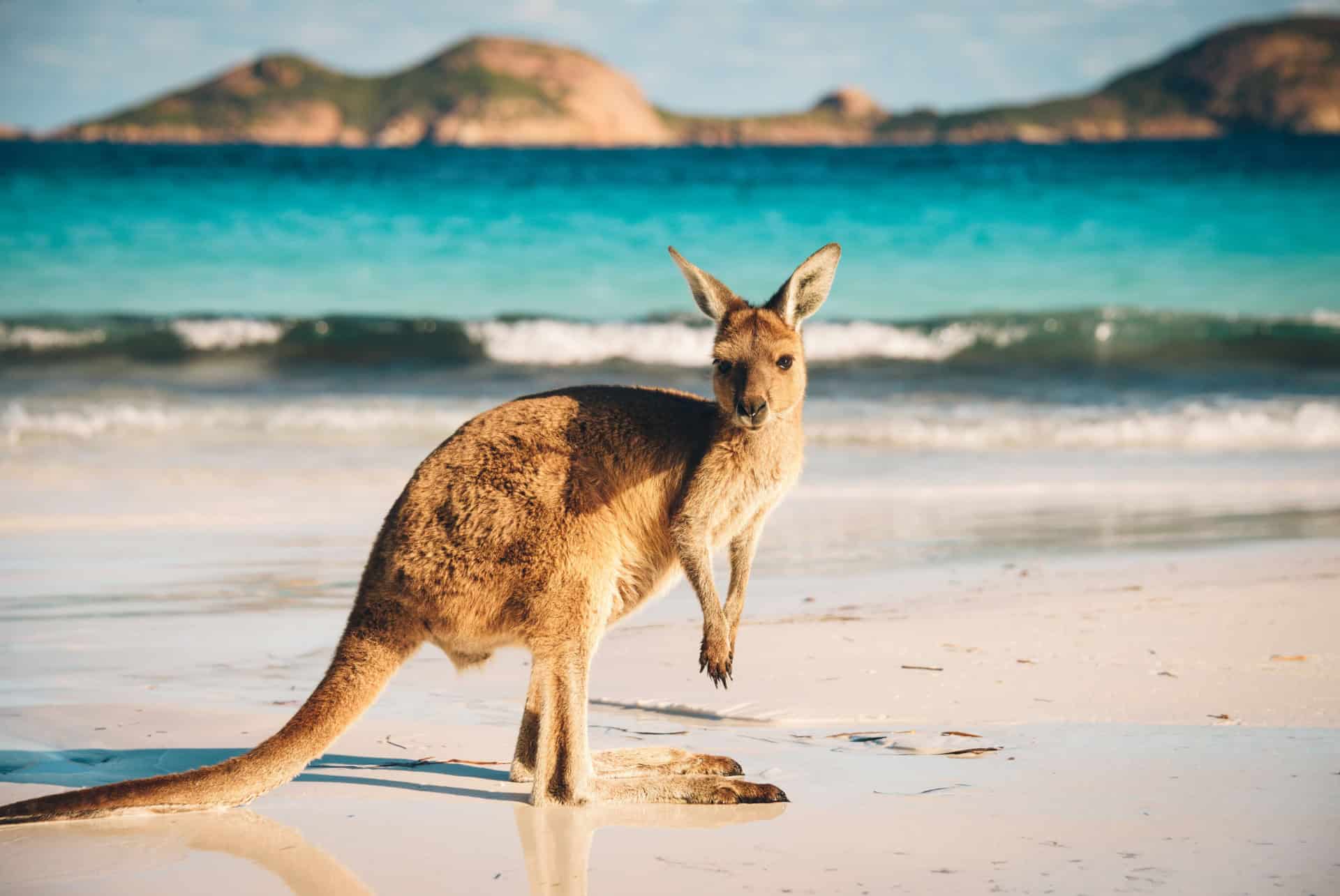 lucky bay plus belles plages australie