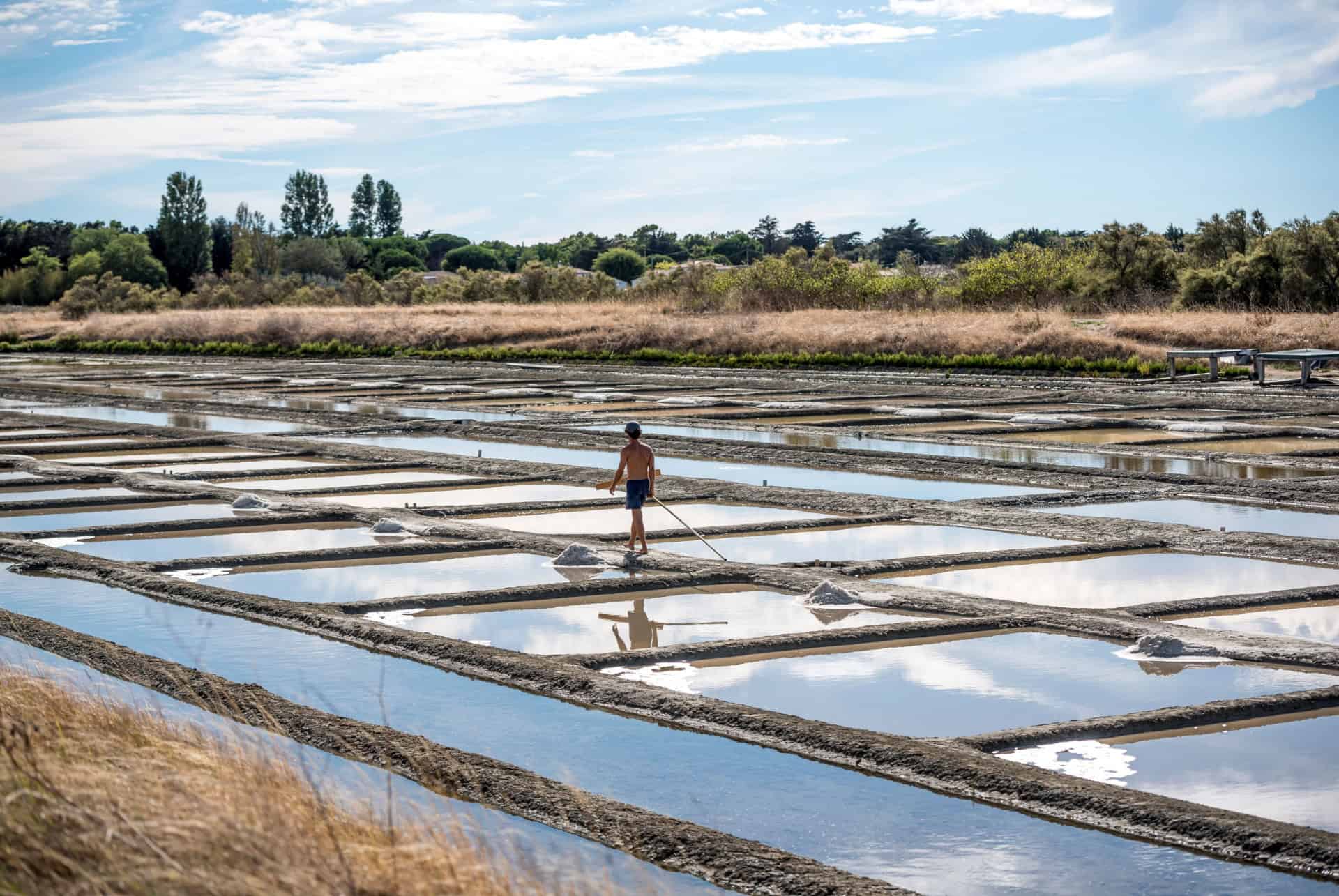 marais salants visiter ile de re