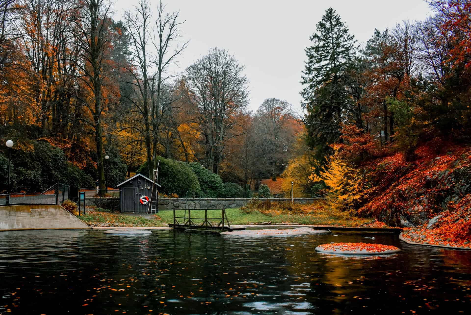 parc slottsskogen que faire goteborg