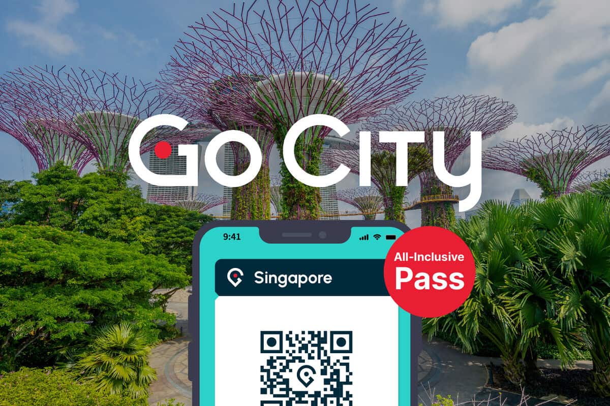 pass all inclusive singapour