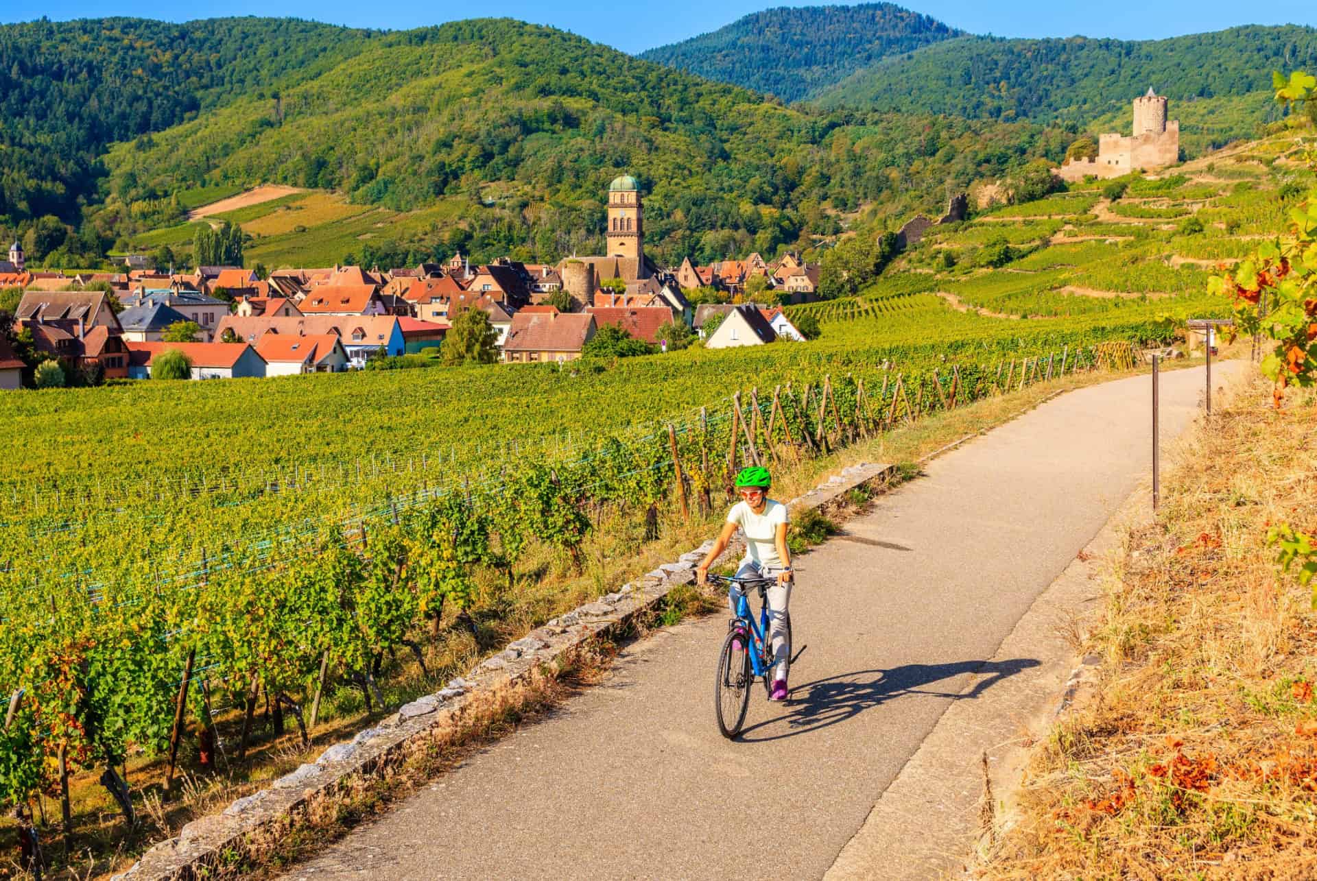 route des vins alsace velo