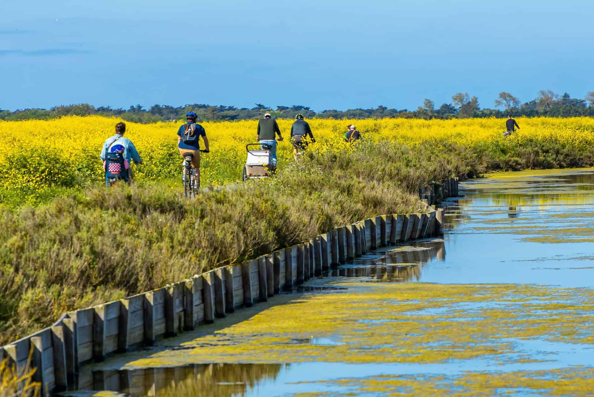 velo marais salants ile de re