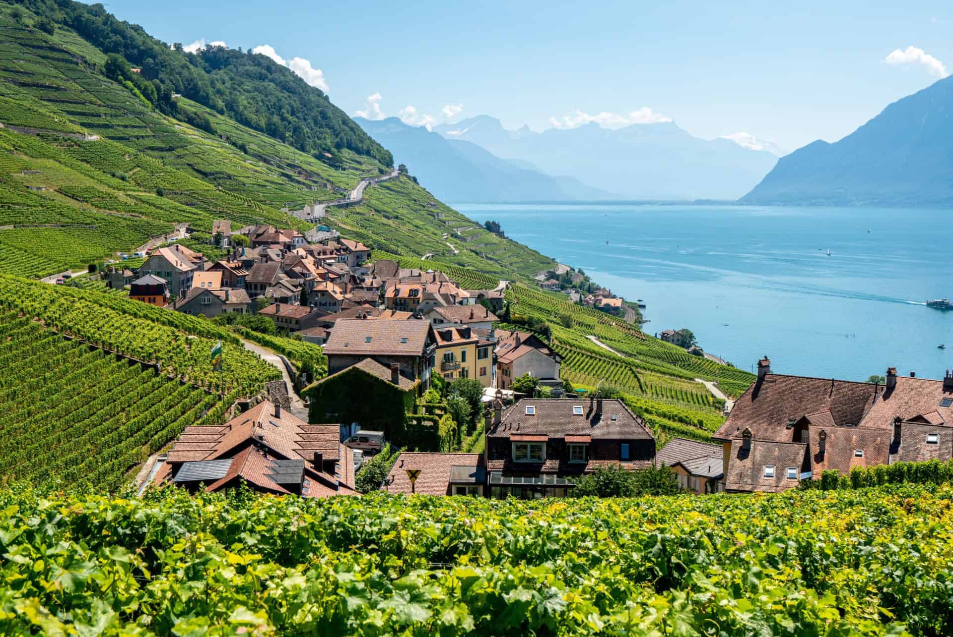 vignobles de lavaux lac leman