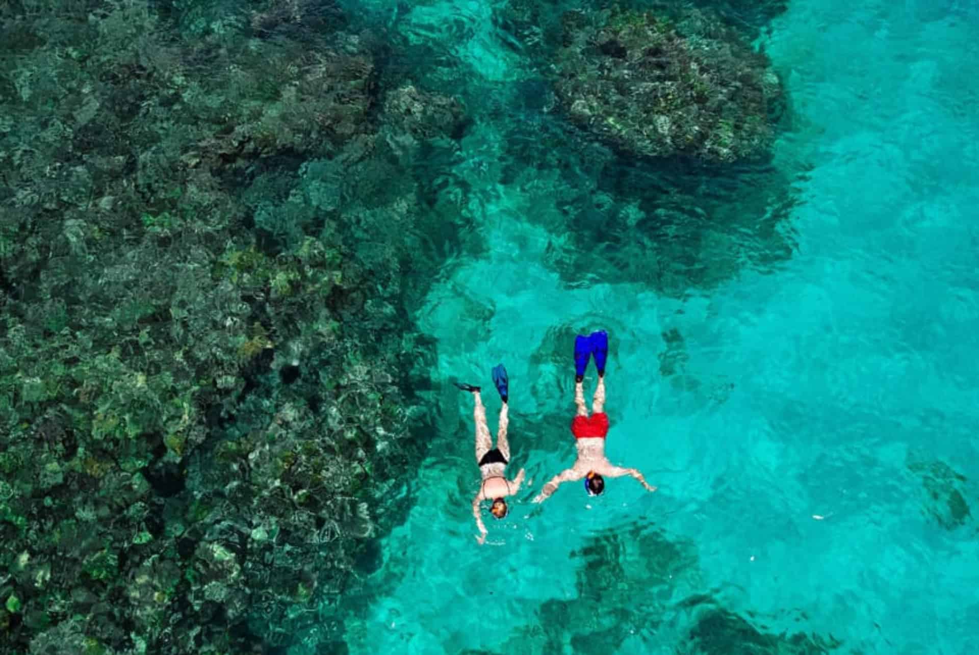 Seychelles snorkeling