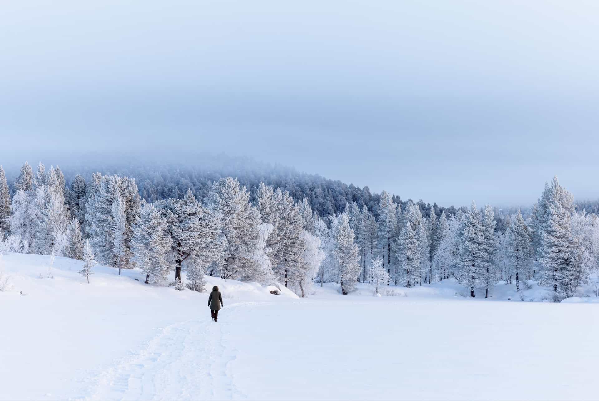 finlande paysage enneige