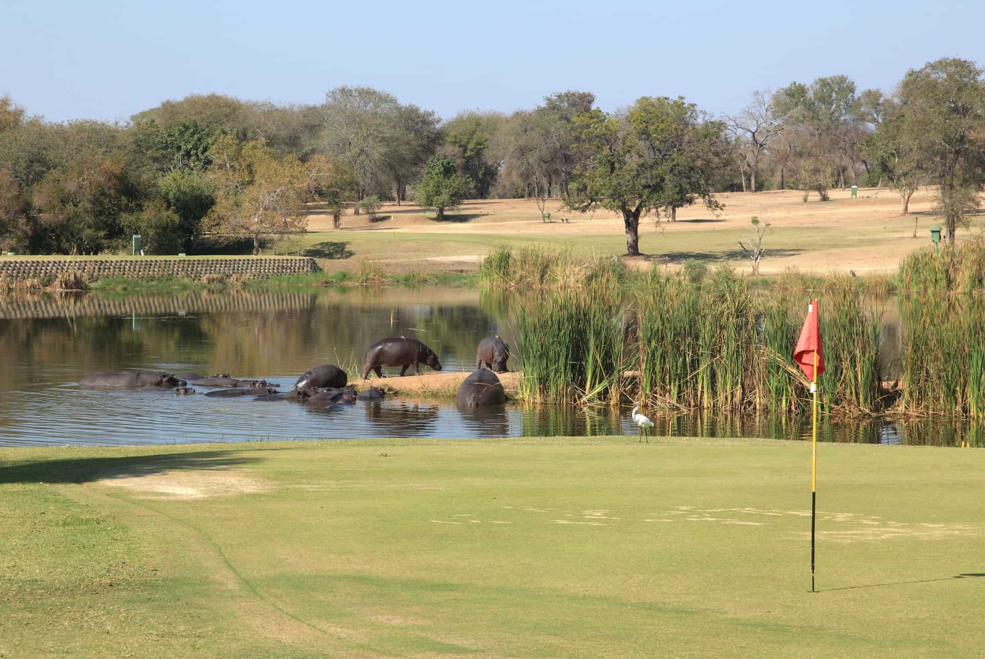 golf parc kruger