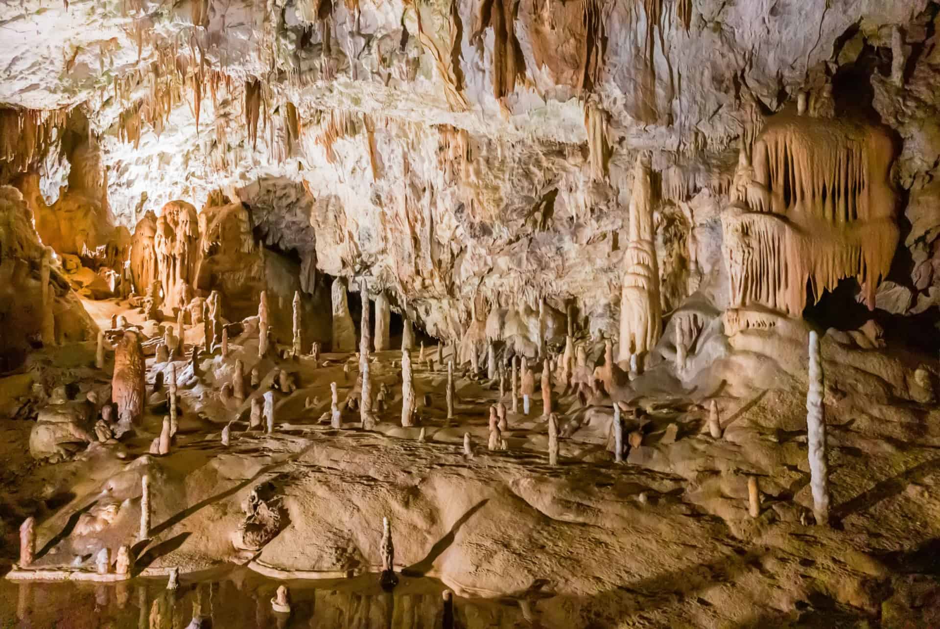 grotte de postojna