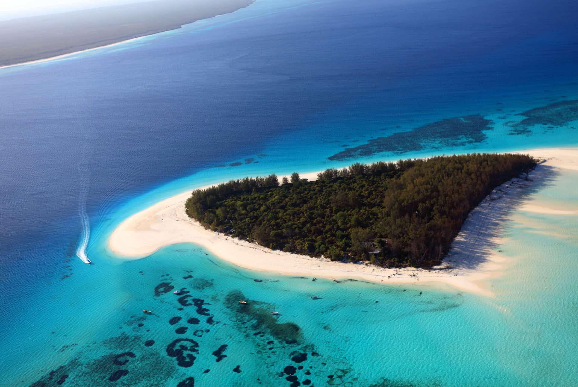 ile de mnemba zanzibar