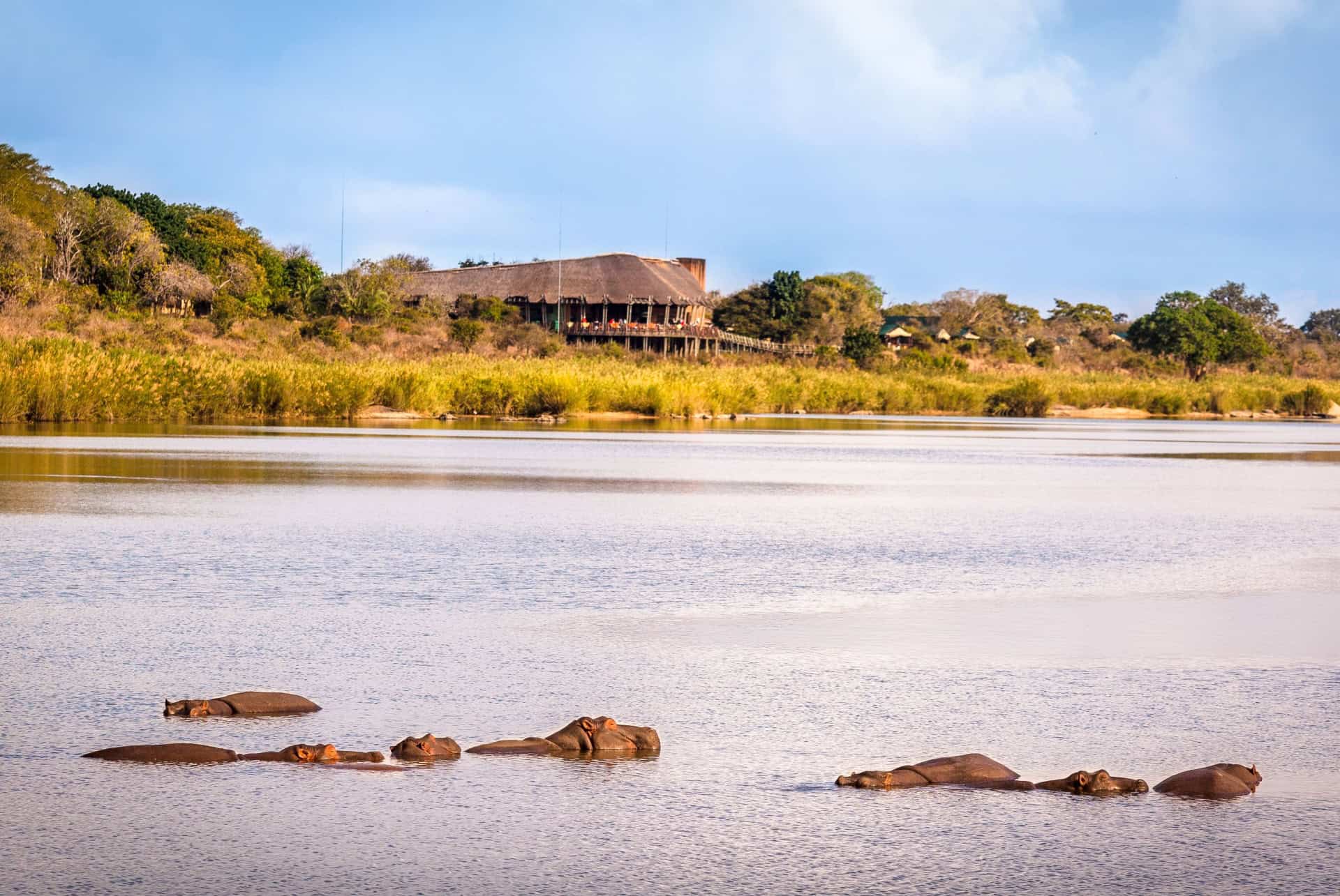 lower sabie camp