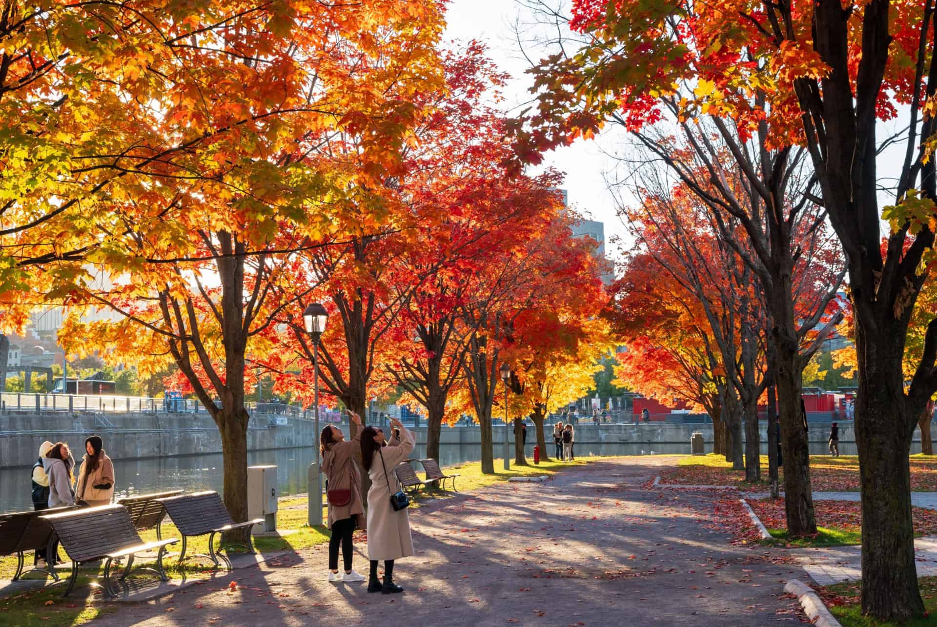 montreal en automne