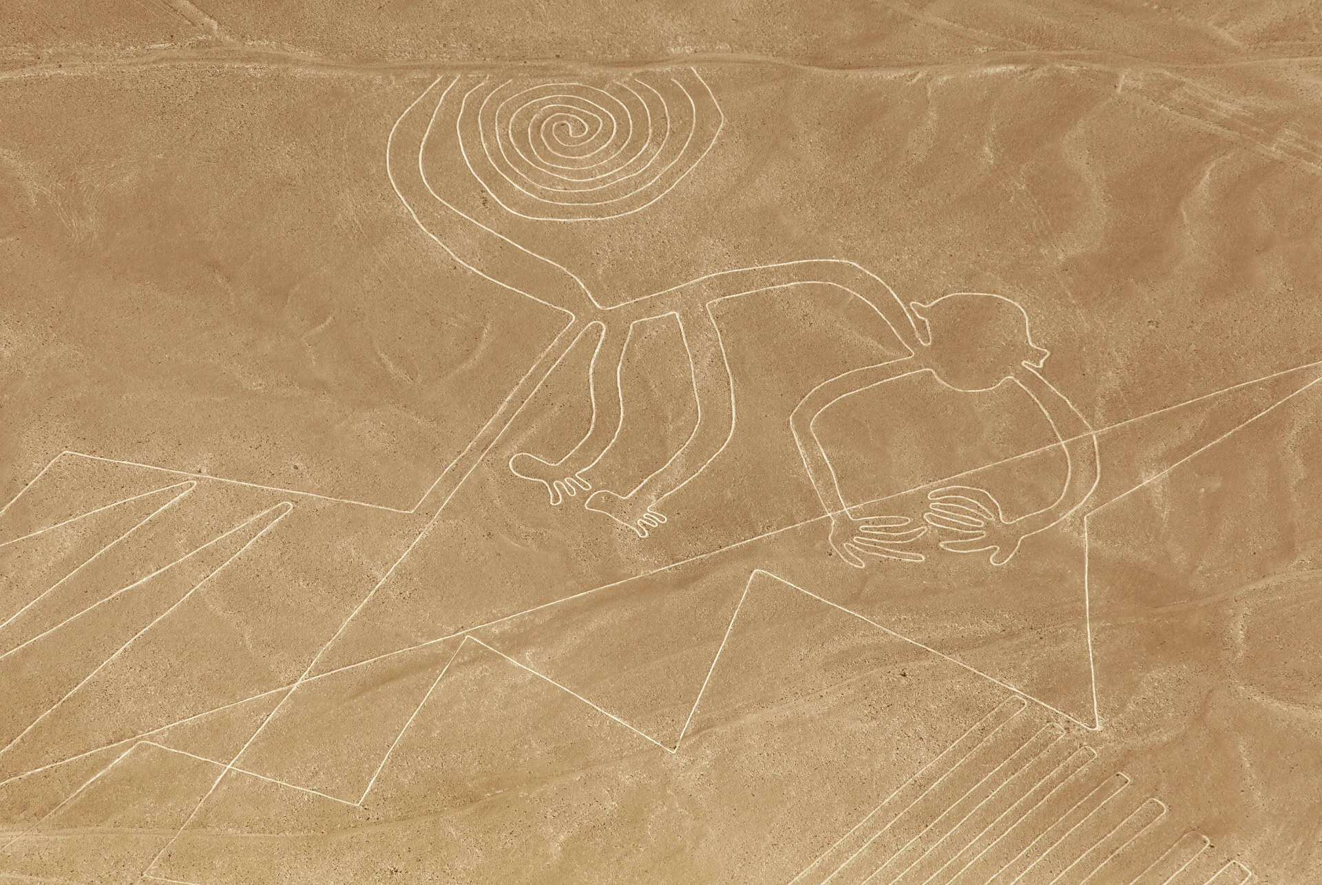 nazca geoglyphes