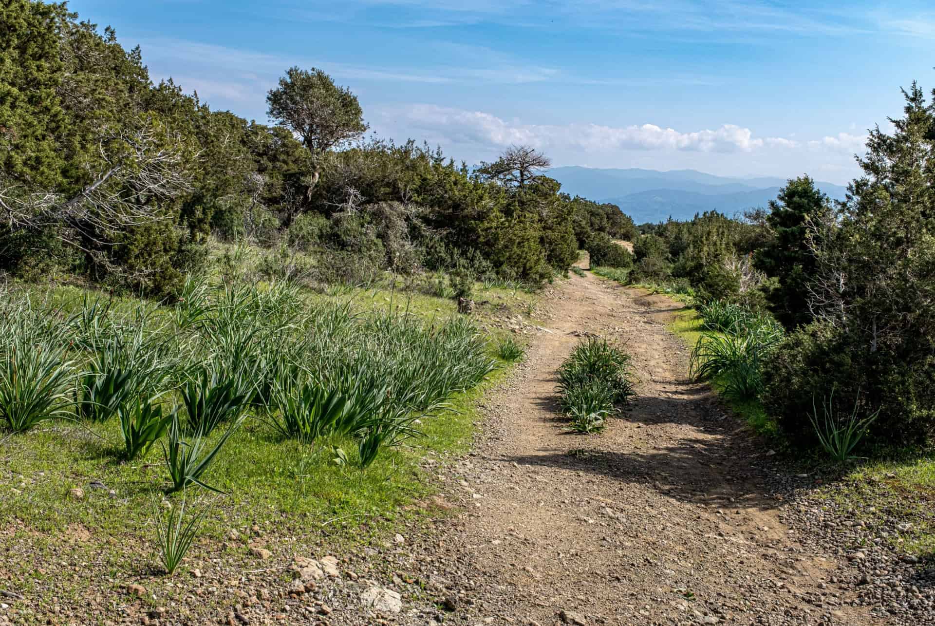 peninsule akamas chypre