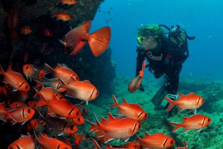 Plongée sous-marine à Santa Maria