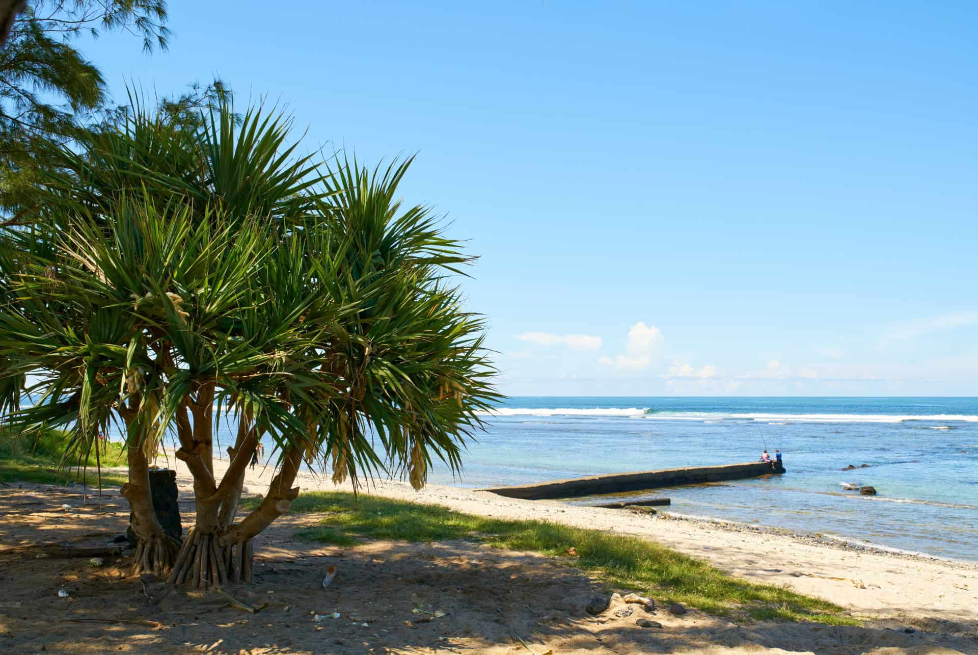 plus belles plages la reunion saint-pierre