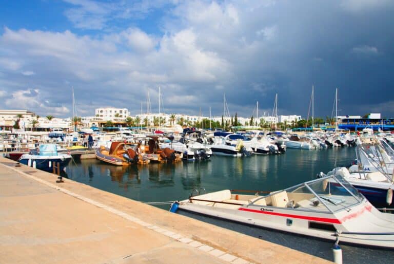 Croisière en catamaran et baignade