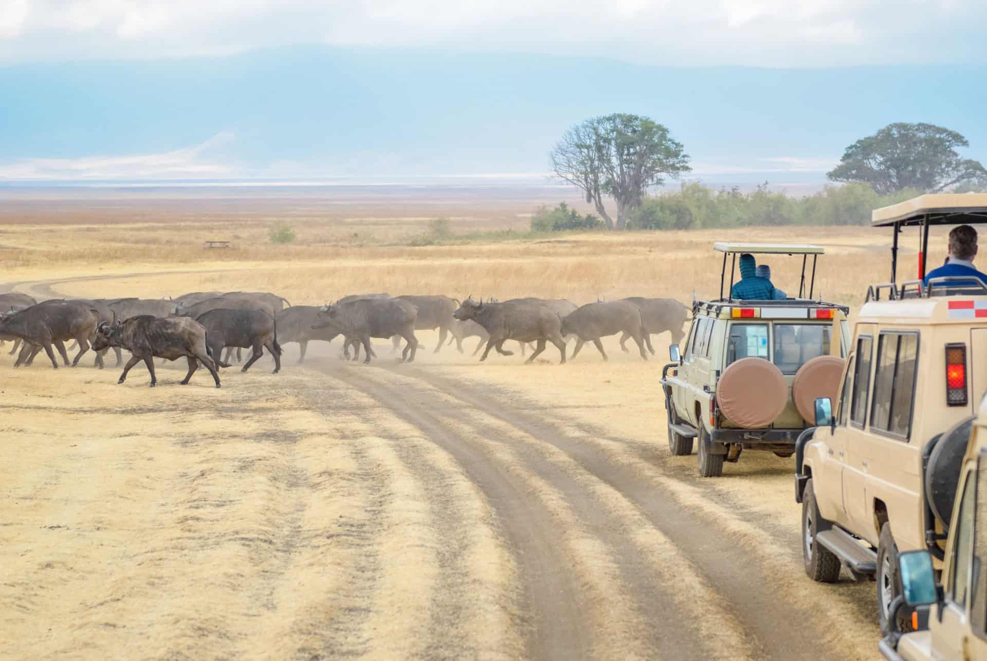 regles routes parc kruger