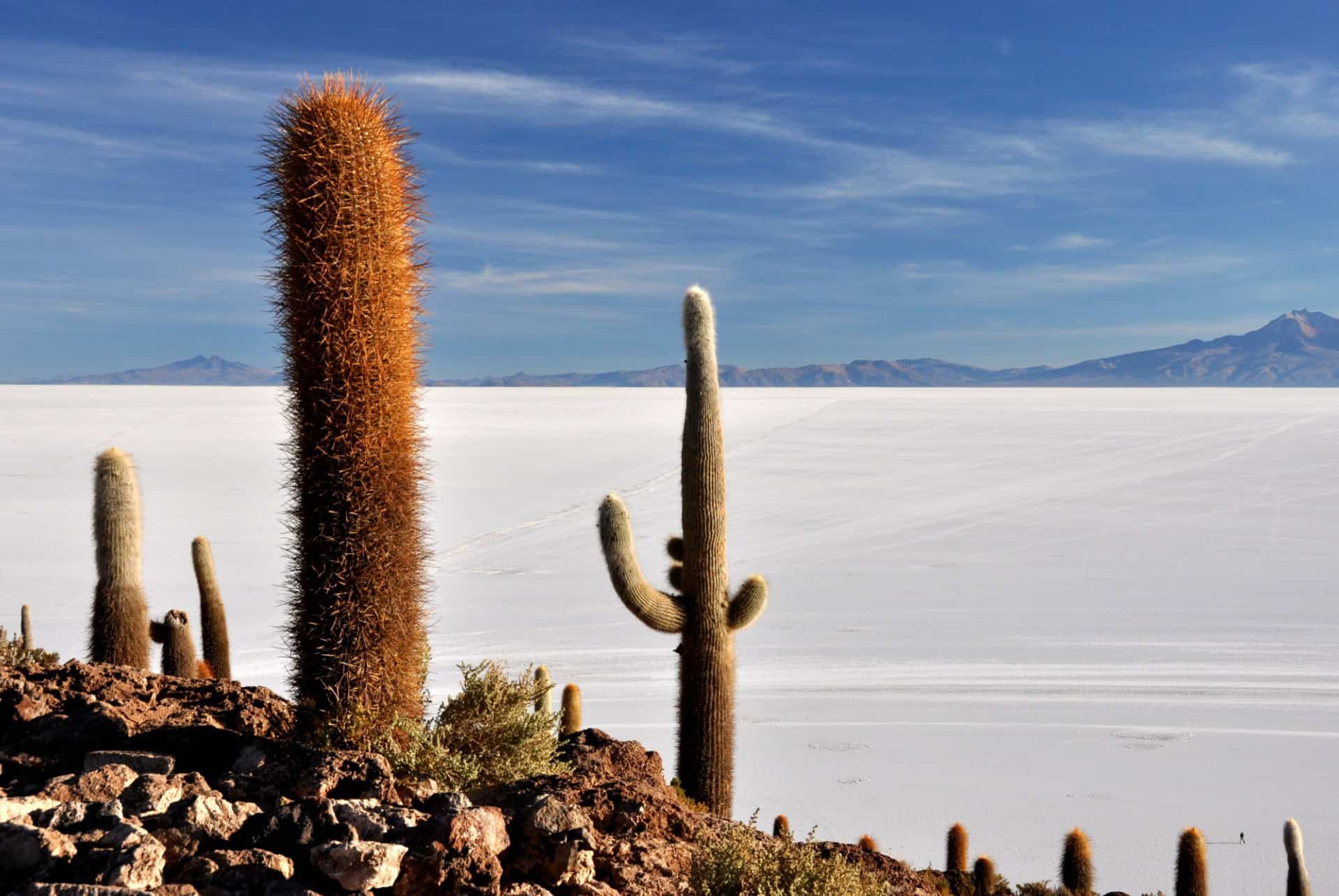 salar uyuni