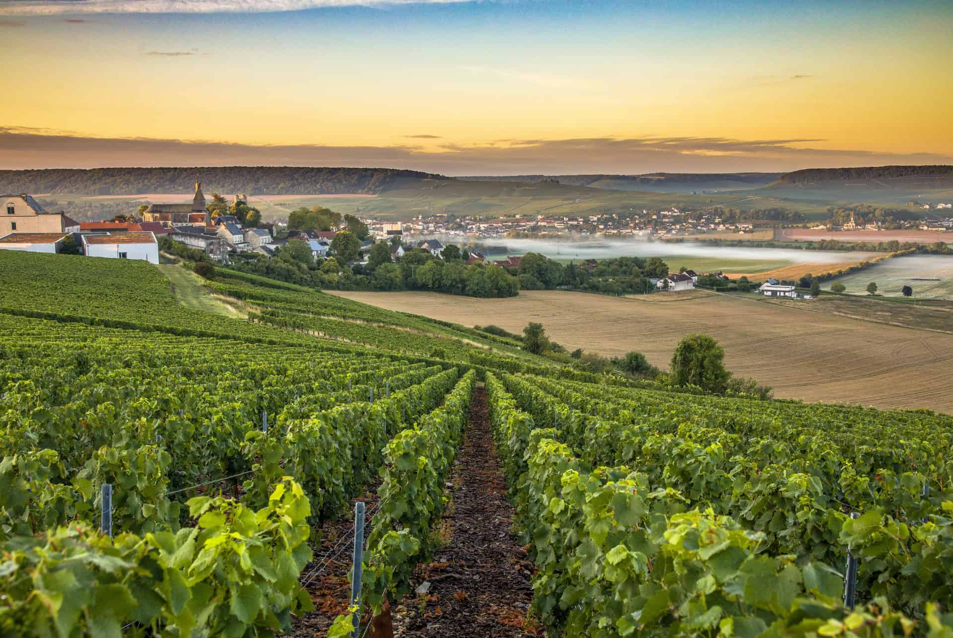 vignes reims 2 jours