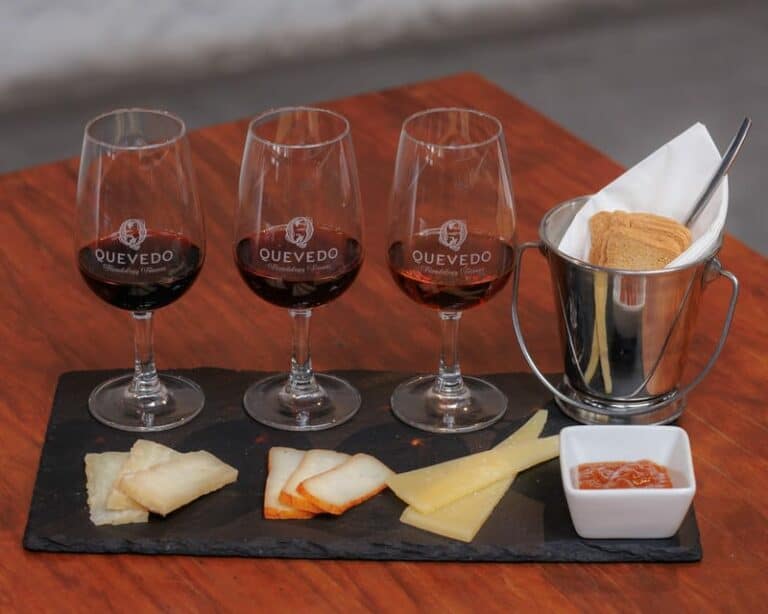 Dégustation de vin de Porto et fromages à Vila Nova de Gaia