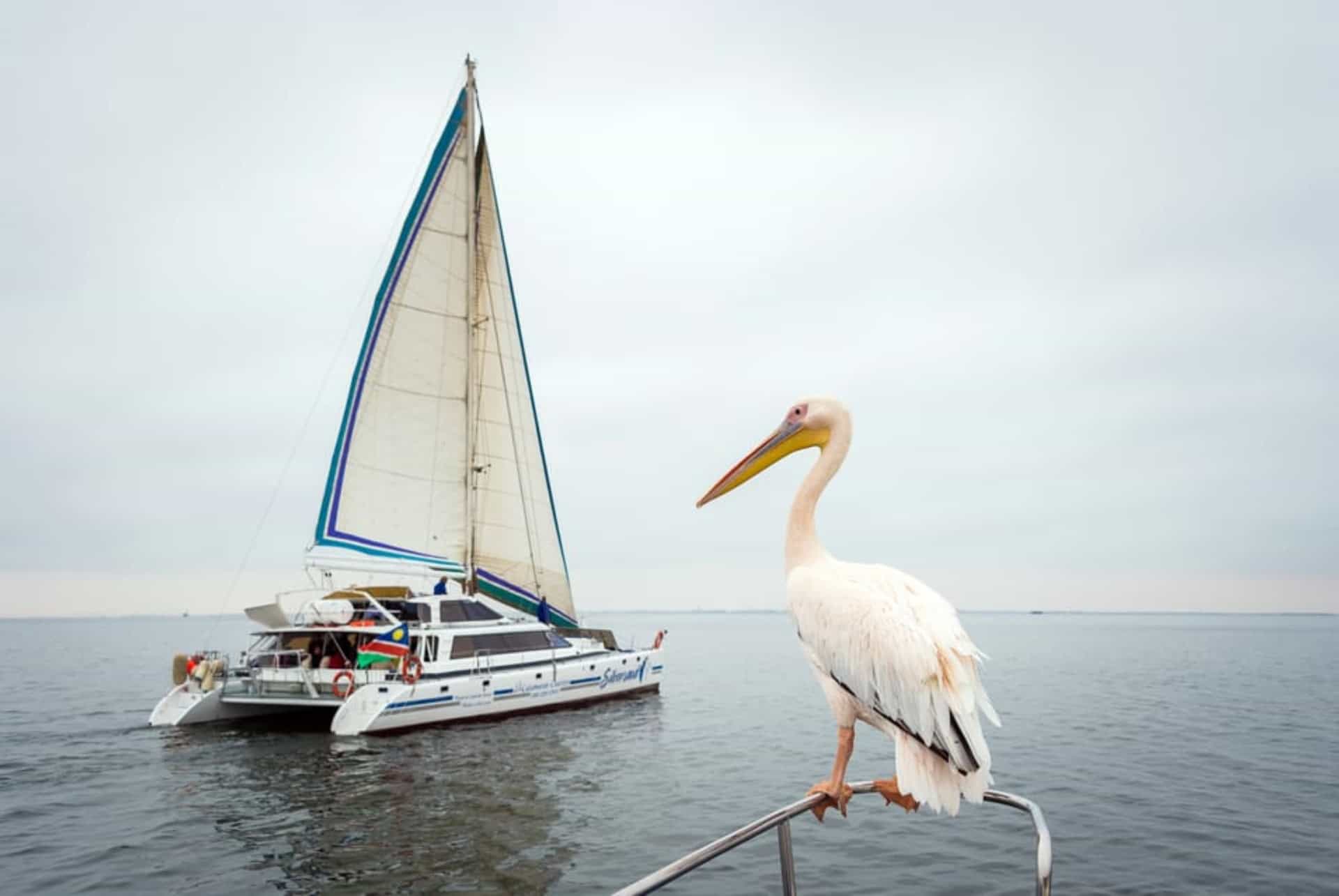 visiter la namibie catamaran