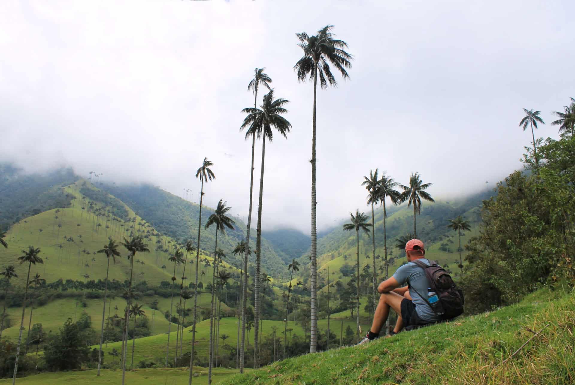 Vallée de Cocora colombie