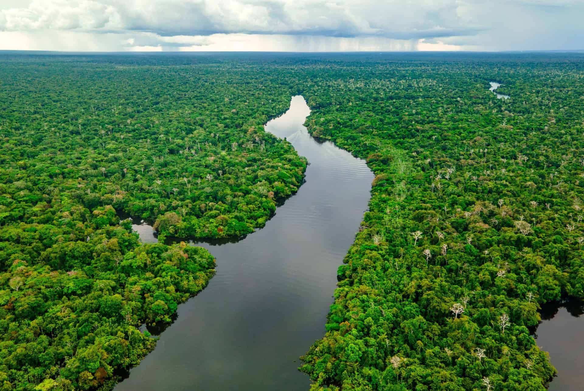 amazonie colombie