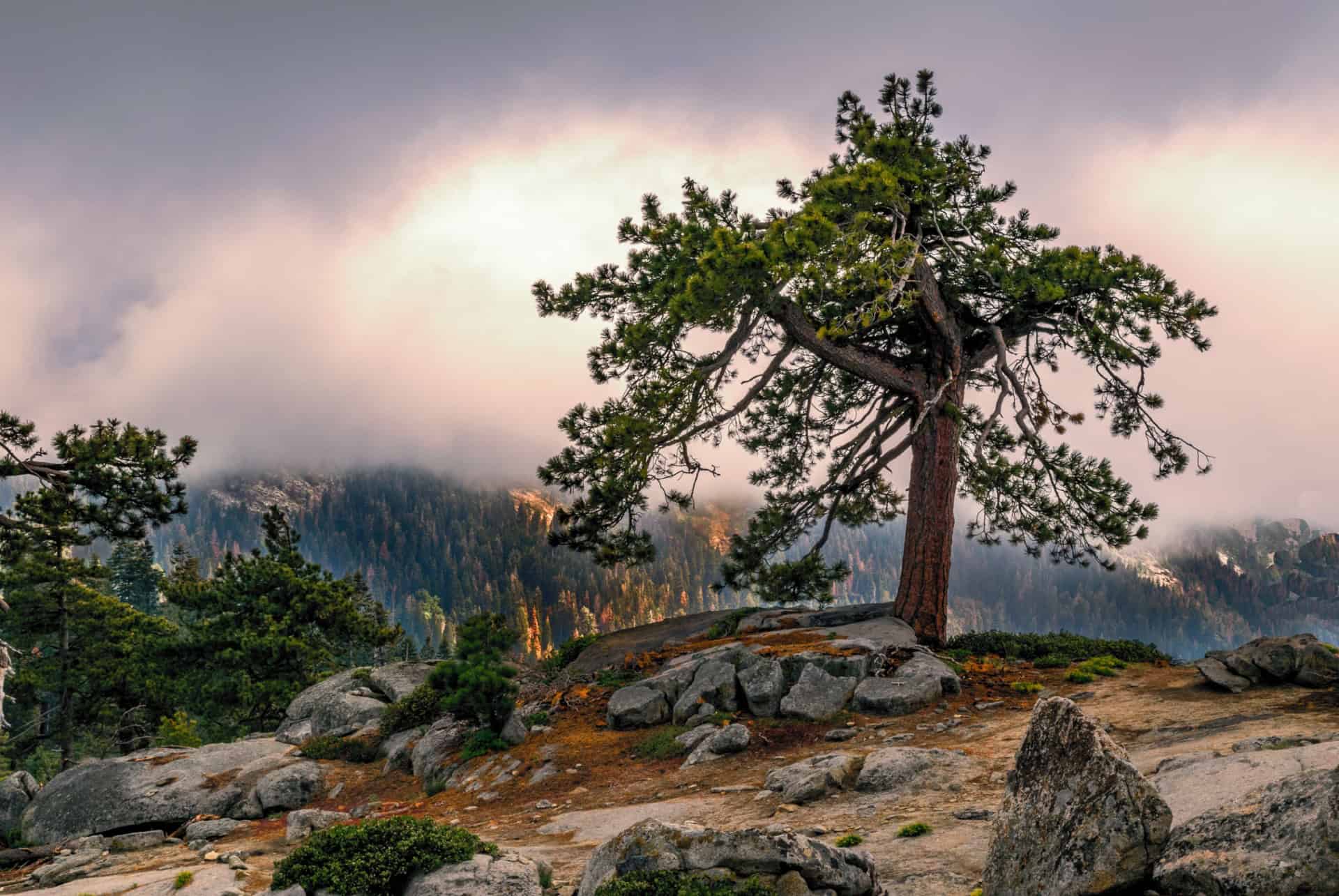 buena vista peak