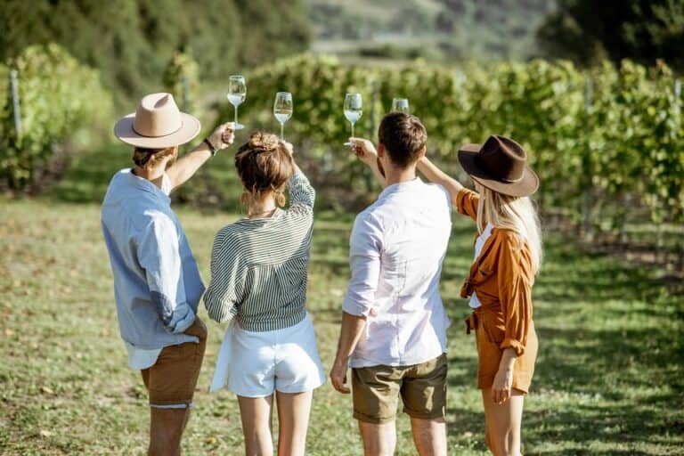 Visite guidée d'une demi-journée avec dégustation de vin de l'Etna