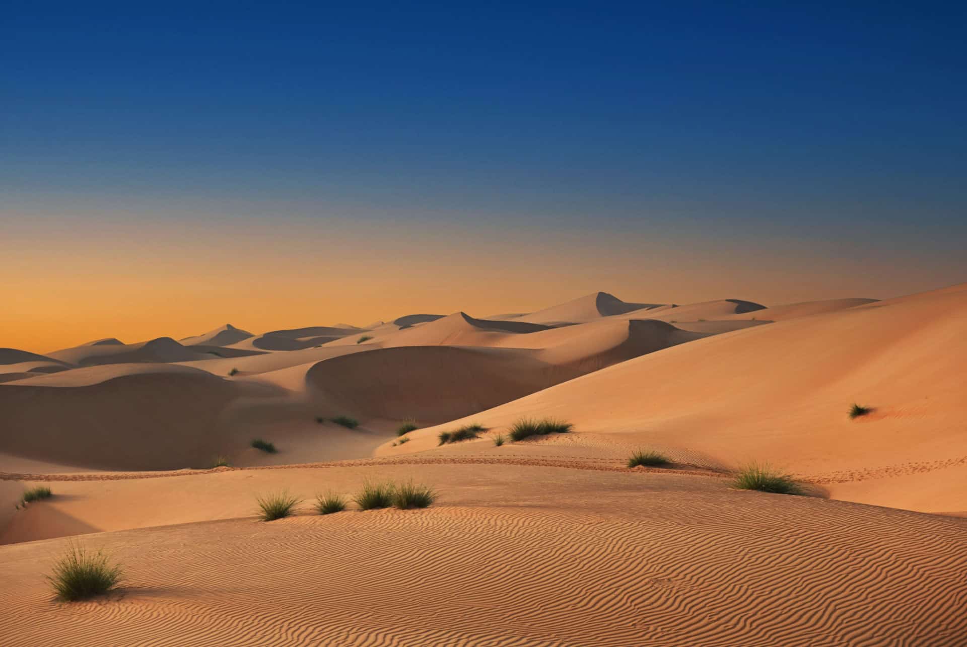 desert de wahiba sands